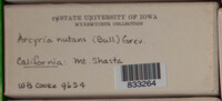 Image Associated With the Occurence